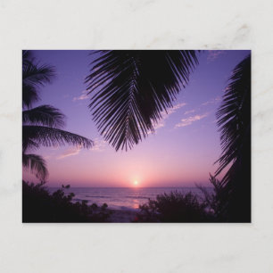 Solnedgång vid West End, Cayman Brac, Caymanöarna, Vykort