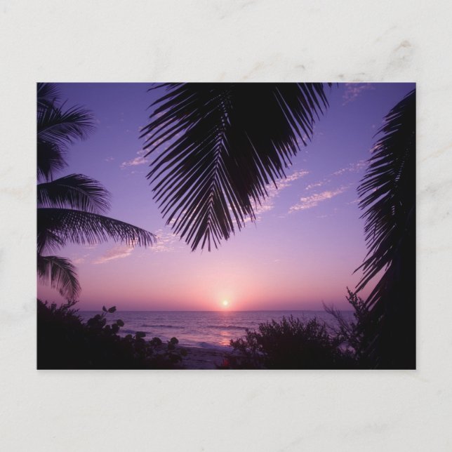 Solnedgång vid West End, Cayman Brac, Caymanöarna, Vykort (Framsida)