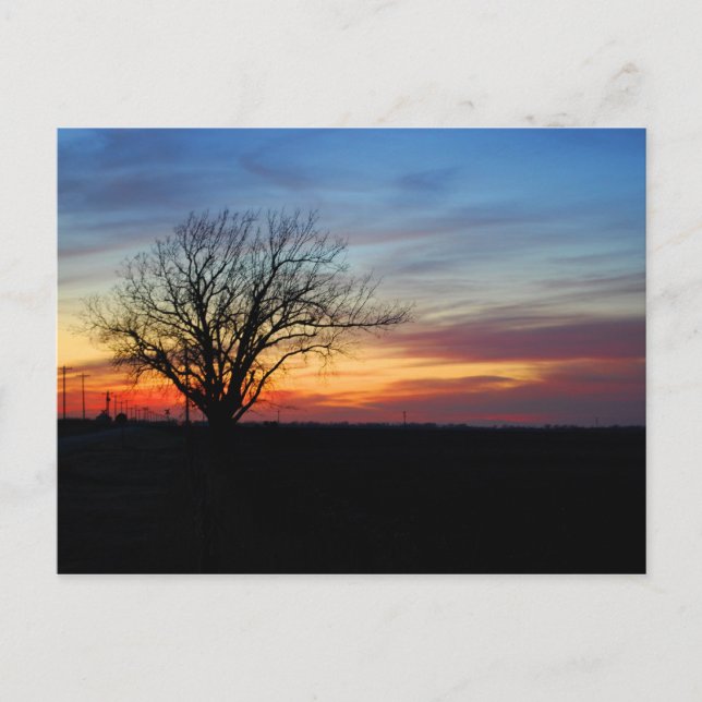 Solnedgång Vykort (Framsida)