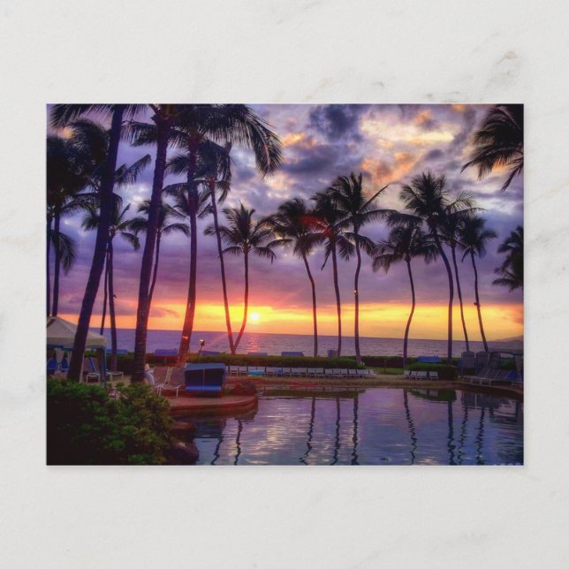 Solnedgång Vykort (Framsida)