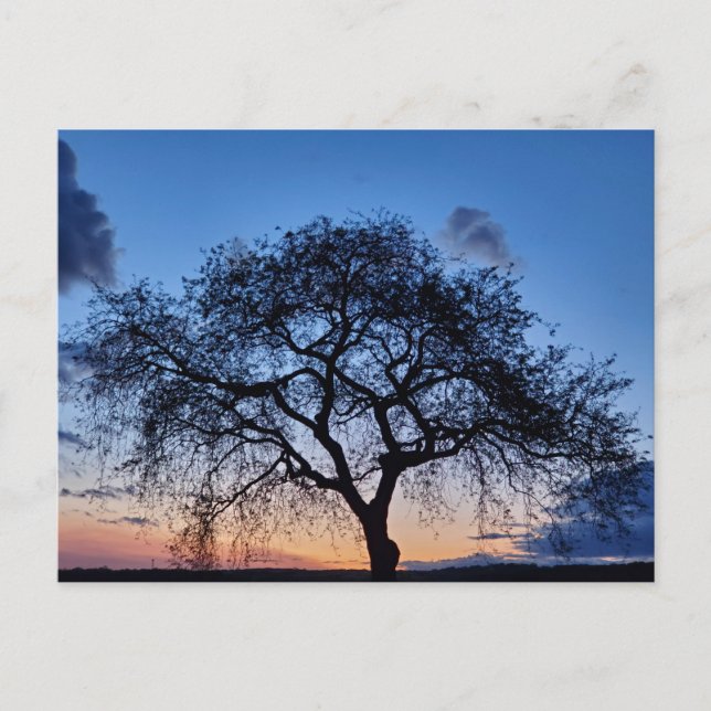 Solnedgång Vykort (Framsida)