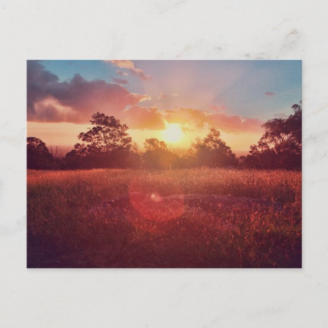 Solnedgång Vykort (Framsida)