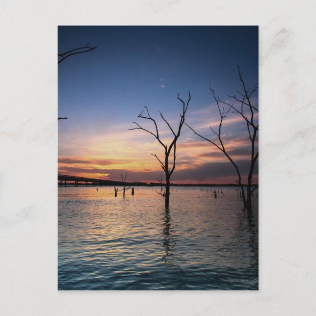 Solnedgång Vykort (Framsida)