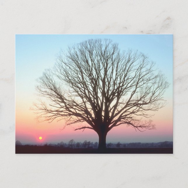 Solnedgång Vykort (Framsida)