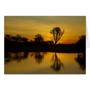 Solnedgång, Yellow Water Billabong Hälsningskort