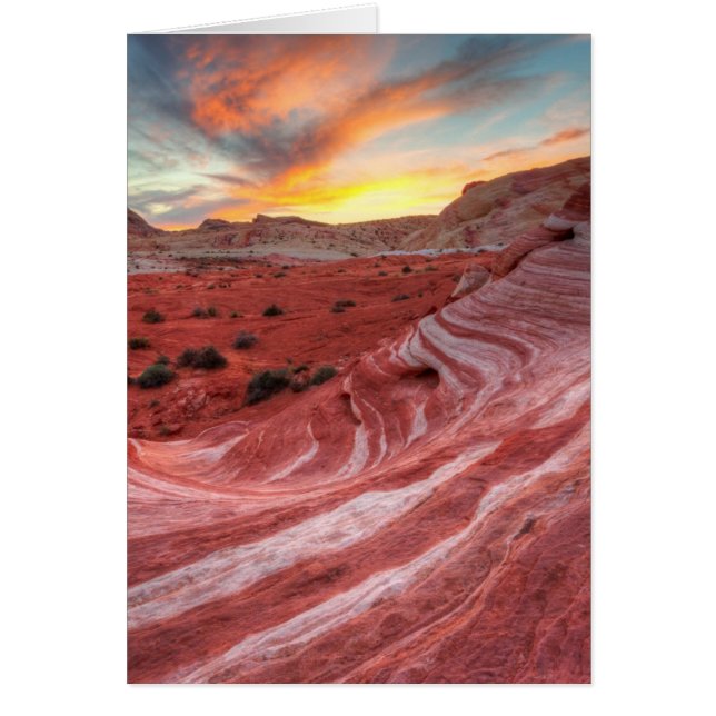 Solnedgången avfyrar på vinkar hälsningskort (Framsidan)