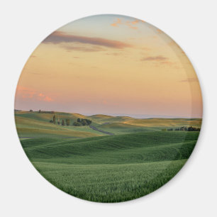 Solnedgången över vete sätter in den staten magnet