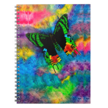 Solnedgångmal 6,5 x 8,75