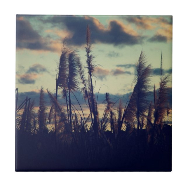 Solnedgångnaturen belägger med tegel kakelplatta (Framsidan)