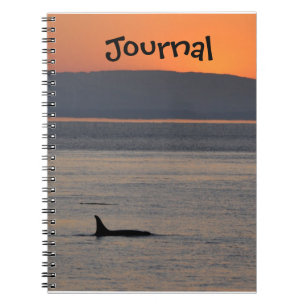 SolnedgångOrcajournal Anteckningsbok Med Spiral