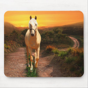 Solnedgångpalomino Musmatta