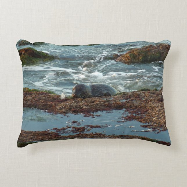 Solnedgångsbelyst hamnsäl I i San Diego Prydnadskudde (Framsidan)