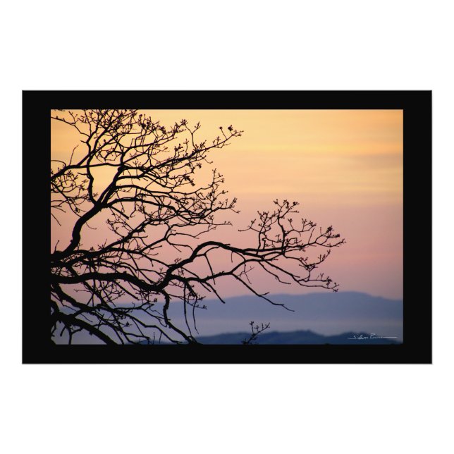Solnedgångsgrenar Silhuett av Sidharta Pascual Fototryck (Framsidan)