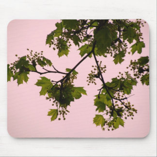 SolnedgångSilhouette Mousepad Musmatta