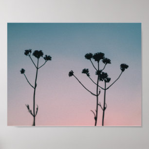 solnedgångsilhouette poster