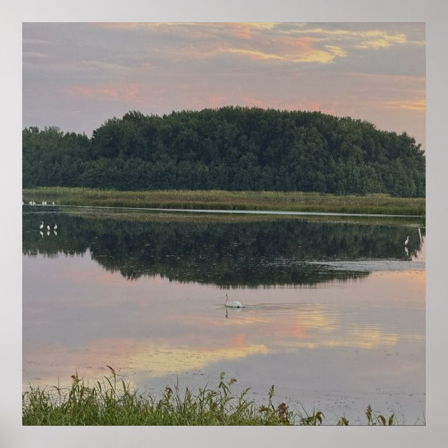 Solnedgångsreflektioner Vattenscen Poster (Framsidan)