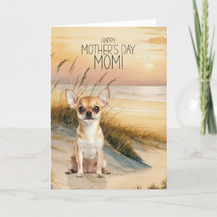 Solnedgångsstrand med tan Chihuahua-hund på mors d Helgkort