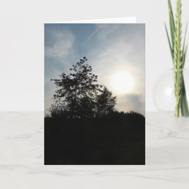 Solnedgångsträd Kort (Framsida)