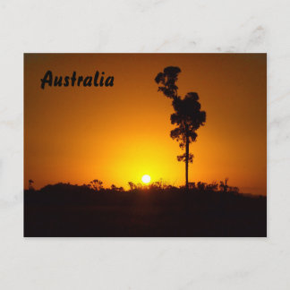 Solnedgångvykort för australier outback vykort