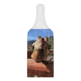 Solnedläggningsnämnd