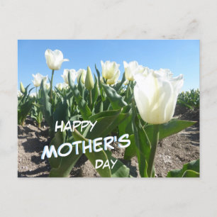 Solnyvit Tulips Fält Mors dag vykort