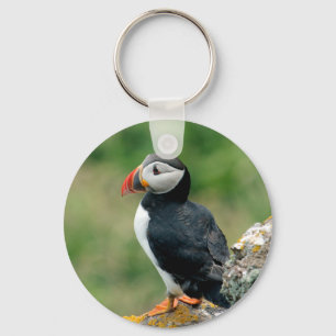 Solo Puffin Nyckelring