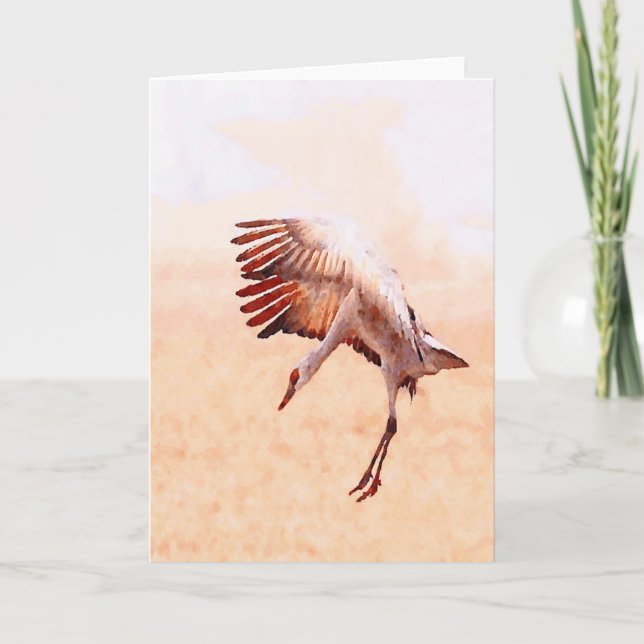 Solo Sandhill krankort Kort (Framsida)