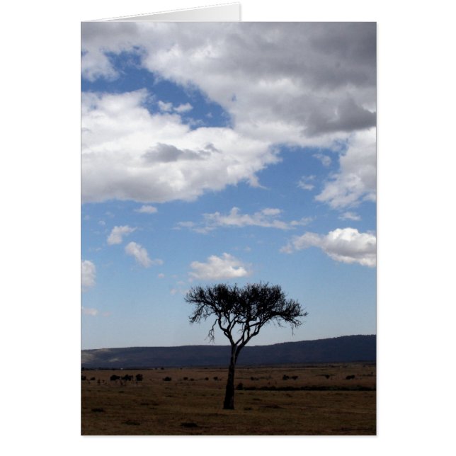 solo träd moln hälsningskort (Framsidan)