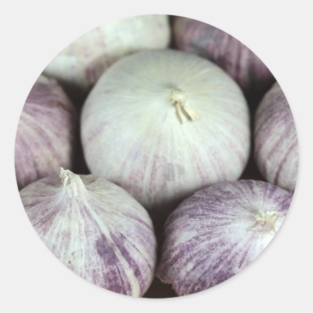 Solo Vitlic Runt Klistermärke (Framsida)