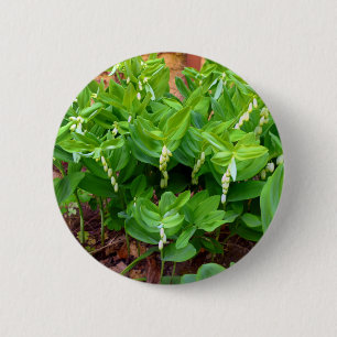 Solomons Seal Badge Knapp