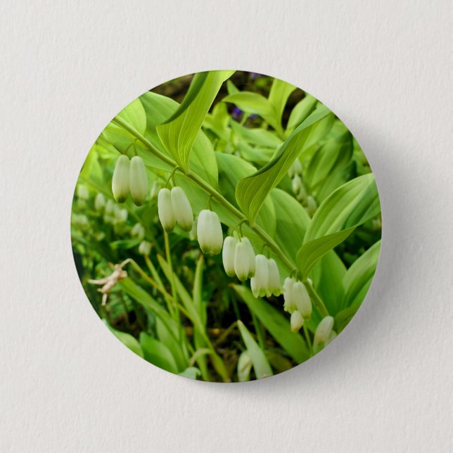 Solomons Seal Badge Knapp (Framsida)