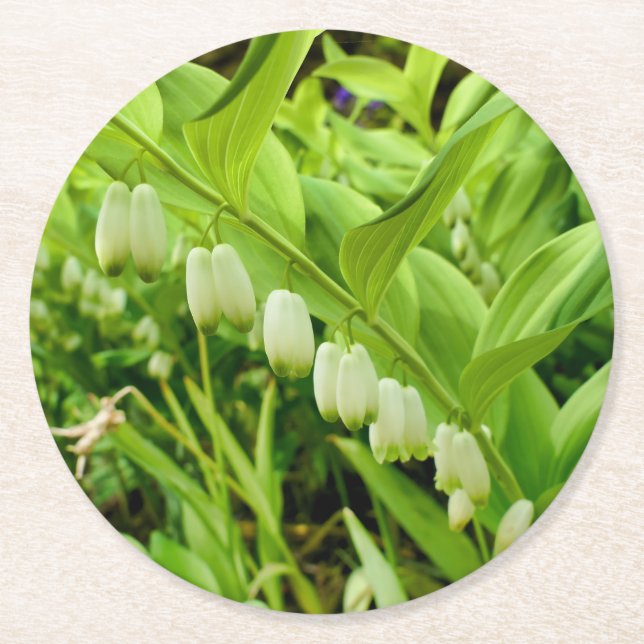 Solomons Seal Underlägg Papper Rund (Framsidan)