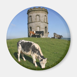 Solomons Temple-kylmagnet Magnet