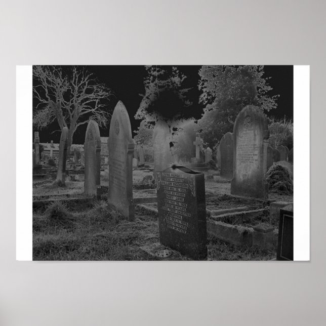 Soloriserad Poster (Framsidan)