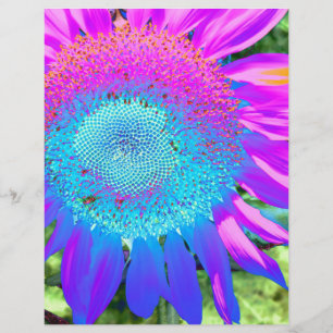 Solrofoto med blå rosa-funky