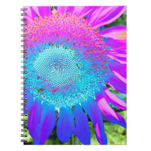 Solrofoto med blå rosa-funky anteckningsbok med spiral