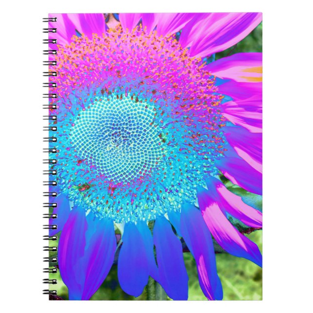 Solrofoto med blå rosa-funky anteckningsbok med spiral (Framsidan)