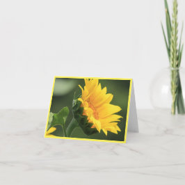 Solrokort för Porträtt Tack Kort