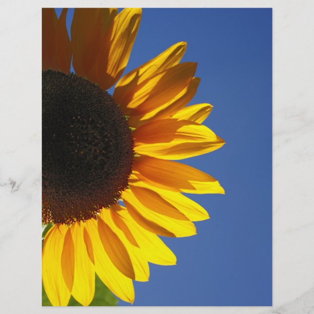 Solros (Framsida)