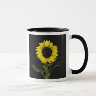 Solros 11 mugg