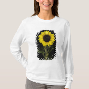 Solros 11 t-shirt