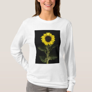 Solros 11 t shirt