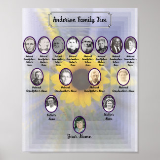 Solros 3D-design med oval fästpunkt-foton Poster