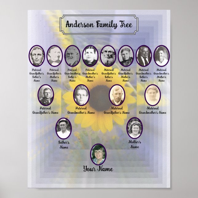 Solros 3D-design med oval fästpunkt-foton Poster (Framsidan)