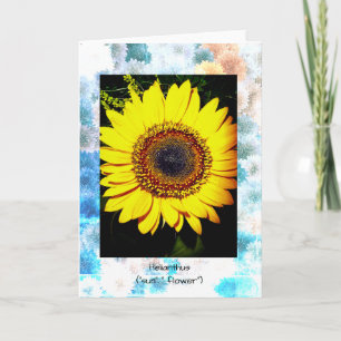 Solros Allaktivitetskort, 5" x 7" Vikt Kort