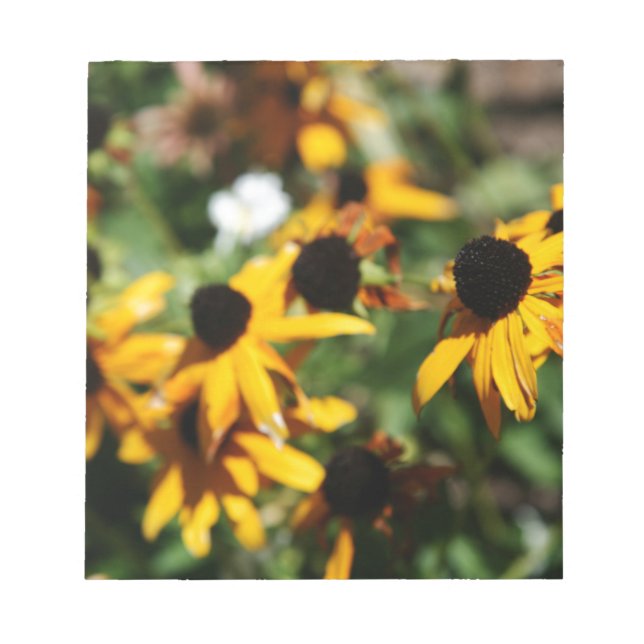 Solros Anteckningsblock (Framsida)