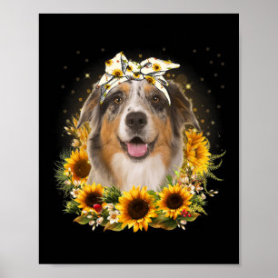 Solros Australian shepherd Hund Mors dag för Poster
