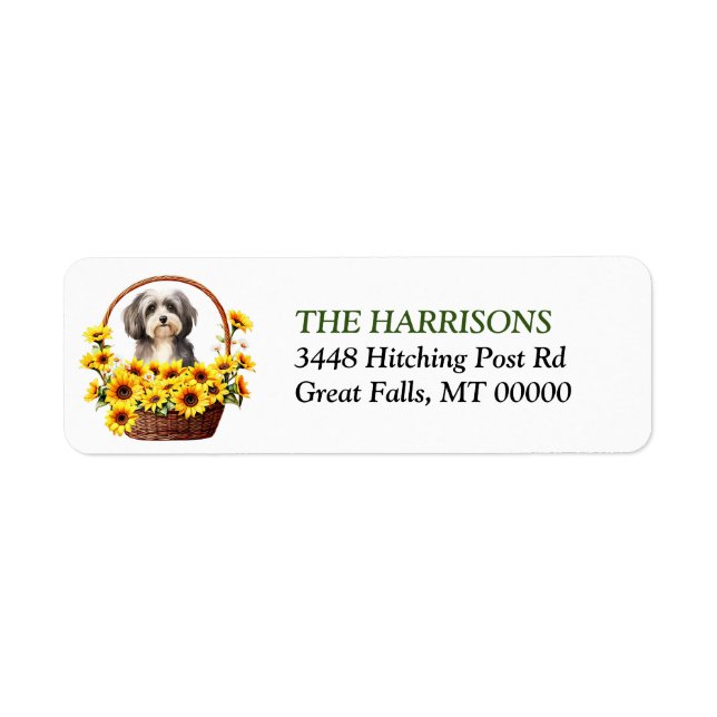 Solros Basket Havanese Hund Returadress Etikett (Framsidan)