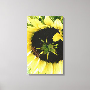 Solros Bild Canvas