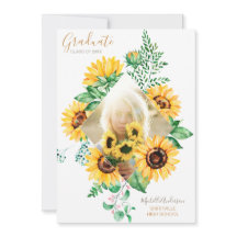 Solros Blommigt Guld Photo Studenten